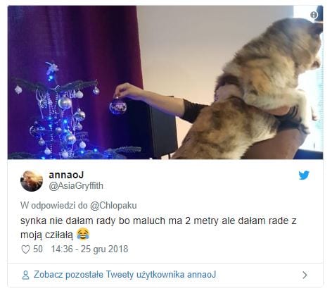 Pikio.pl portal rozrywkowo informacyjny